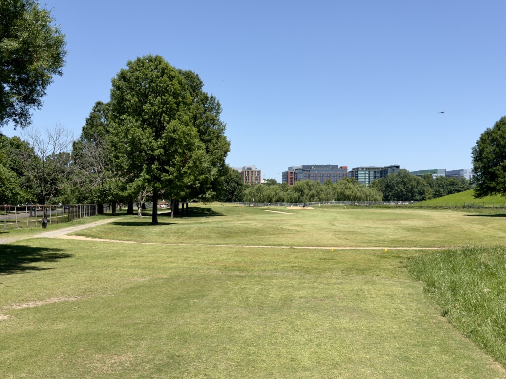 Fifth tee at East Potomac White Course, fairway opening to the right, large tree guarding the left, DC mid-rises on the horizon