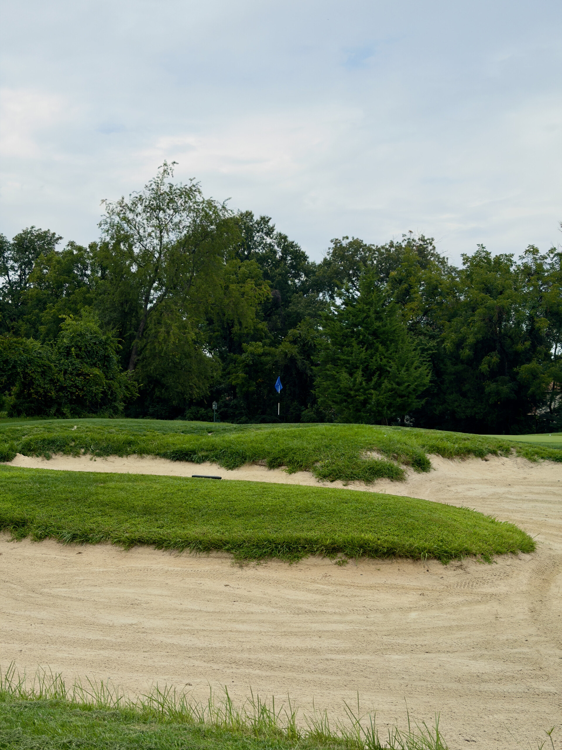 Greenside bunker at the par-3 5th at Herndon Centennial Golf Course, with a tongue of grass jutting into the sand.